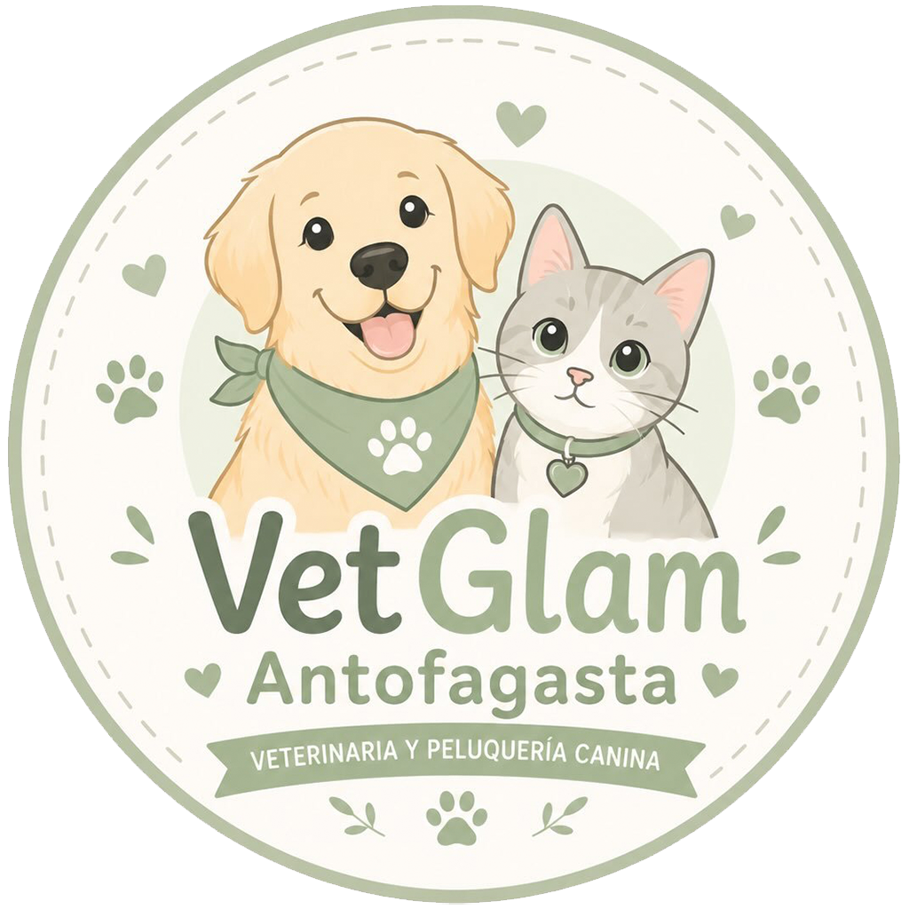 Vet Glam logo